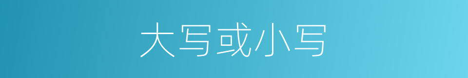 大写或小写的同义词