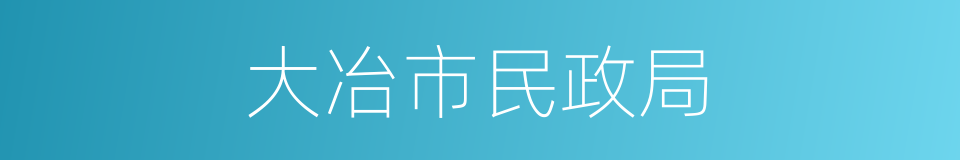 大冶市民政局的同义词