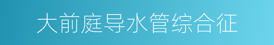 大前庭导水管综合征的同义词