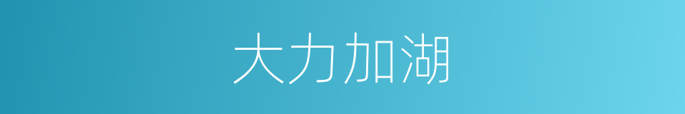 大力加湖的同义词