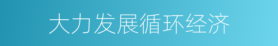 大力发展循环经济的同义词