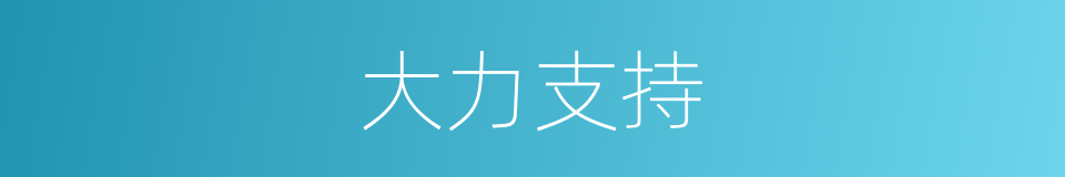 大力支持的同义词