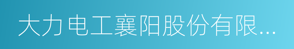 大力电工襄阳股份有限公司的同义词