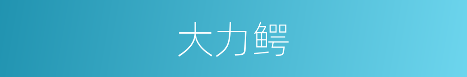 大力鳄的同义词