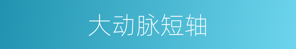 大动脉短轴的同义词