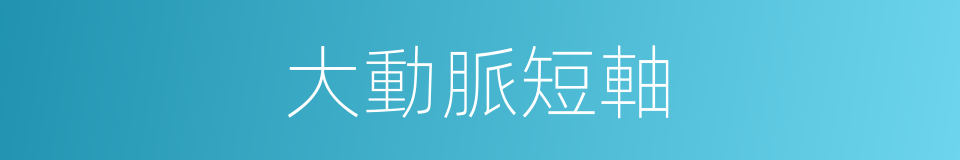 大動脈短軸的同義詞