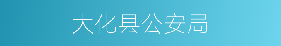 大化县公安局的同义词