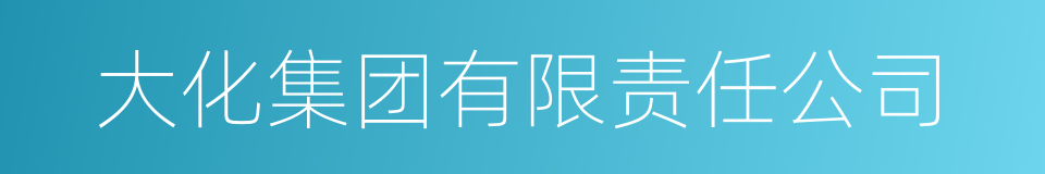 大化集团有限责任公司的同义词