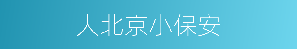大北京小保安的同义词