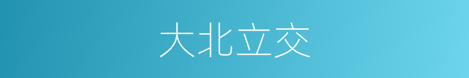 大北立交的同义词