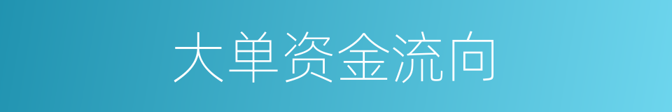 大单资金流向的同义词