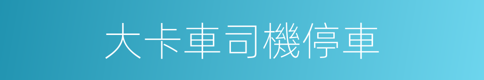 大卡車司機停車的同義詞