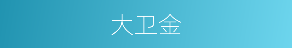 大卫金的同义词