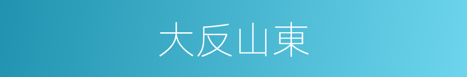 大反山東的同義詞