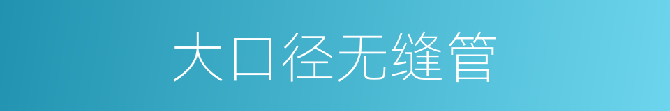 大口径无缝管的同义词
