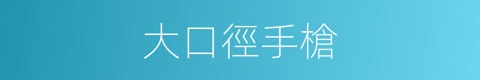 大口徑手槍的同義詞