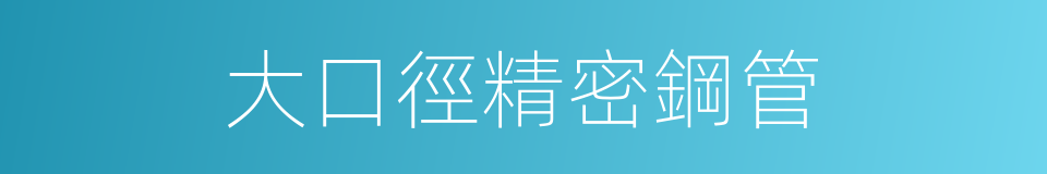 大口徑精密鋼管的同義詞