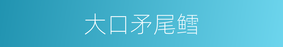 大口矛尾鳕的同义词