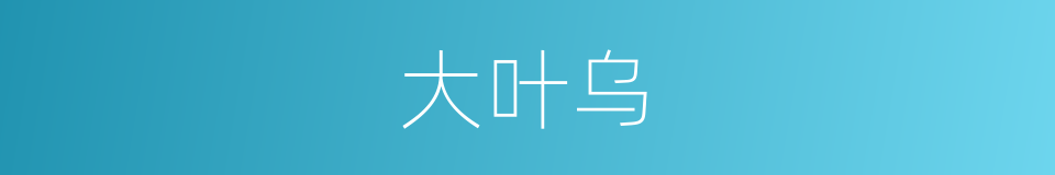 大叶乌的同义词