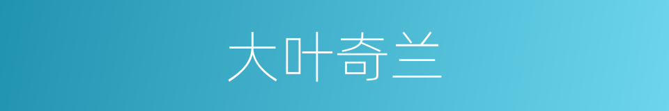 大叶奇兰的同义词