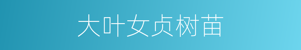大叶女贞树苗的同义词