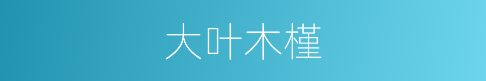 大叶木槿的同义词