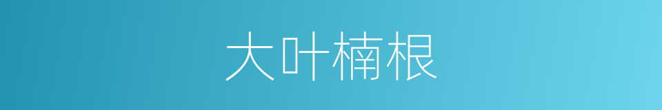 大叶楠根的同义词
