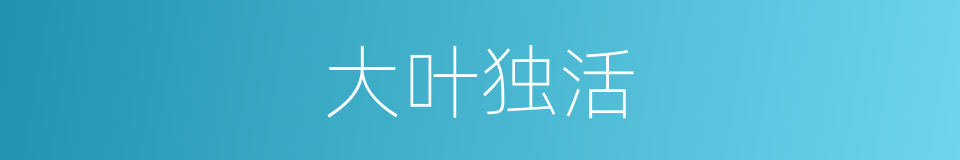 大叶独活的同义词
