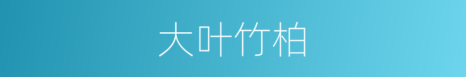 大叶竹柏的同义词