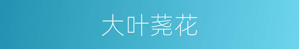 大叶荛花的同义词