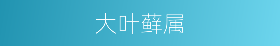 大叶藓属的同义词