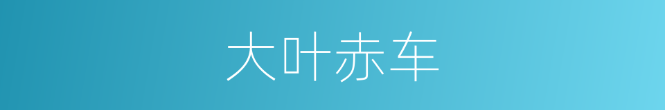 大叶赤车的同义词