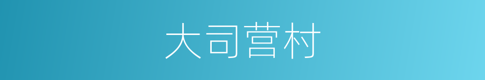 大司营村的同义词
