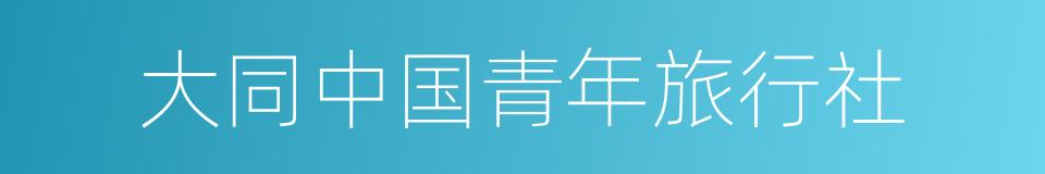 大同中国青年旅行社的同义词