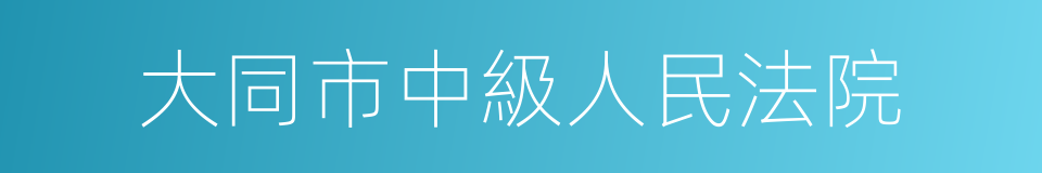 大同市中級人民法院的同義詞