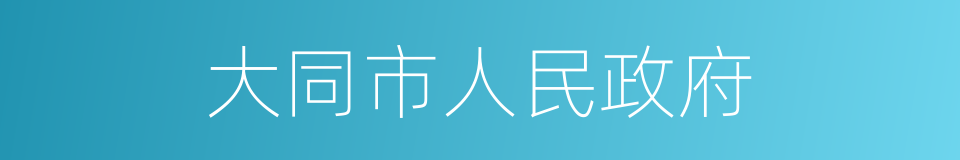 大同市人民政府的同义词