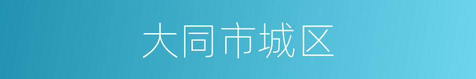 大同市城区的同义词