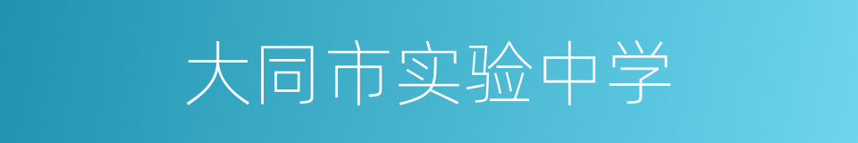 大同市实验中学的同义词