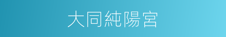 大同純陽宮的同義詞