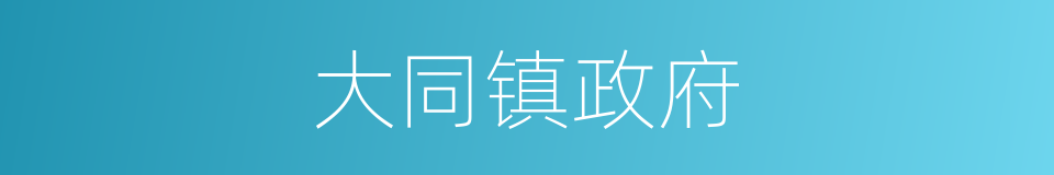 大同镇政府的同义词