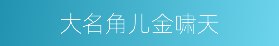 大名角儿金啸天的同义词