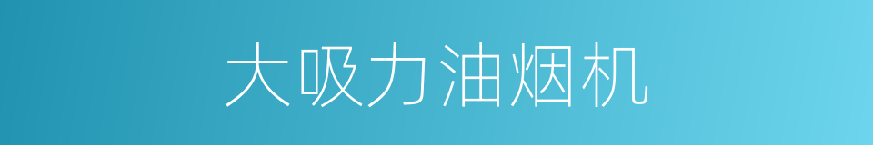 大吸力油烟机的同义词