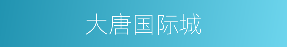 大唐国际城的同义词