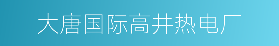 大唐国际高井热电厂的同义词