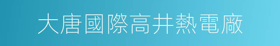 大唐國際高井熱電廠的同義詞