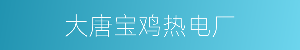 大唐宝鸡热电厂的同义词