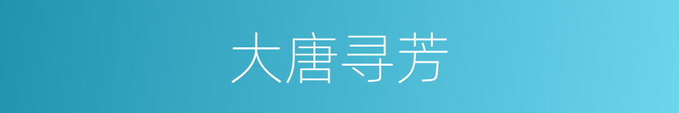 大唐寻芳的同义词