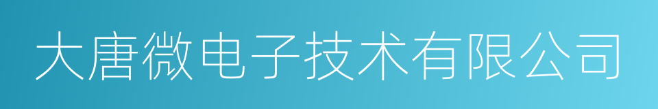 大唐微电子技术有限公司的同义词