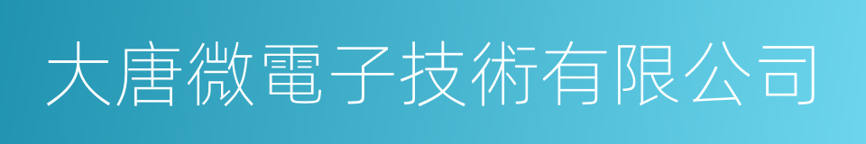 大唐微電子技術有限公司的同義詞