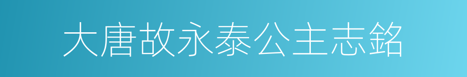 大唐故永泰公主志銘的同義詞